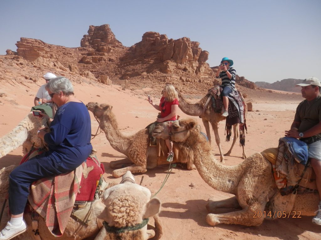 Auburn students mounting camels in desert landscape